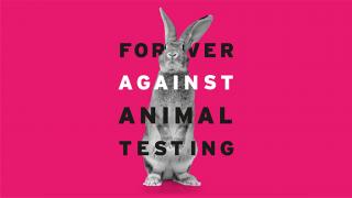 Pink FAAT Campaign Image