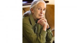 Dr Jane Goodhall DBE, Founder of the Jane Goodall Institute & UN Messenger of Peace