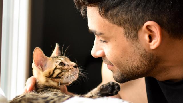 man and tabby cat looking at each other
