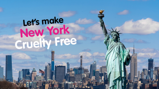 Statue of Liberty in front of New York skyline